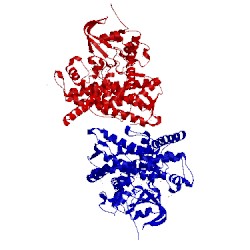 Image of CATH 1bu7