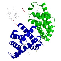 Image of CATH 1buw