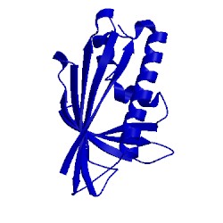 Image of CATH 1bv1