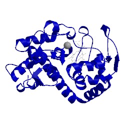 Image of CATH 1bva