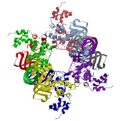 Image of CATH 1bvs
