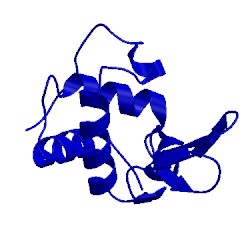 Image of CATH 1bvx