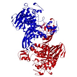 Image of CATH 1bvz