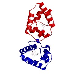 Image of CATH 1bwo