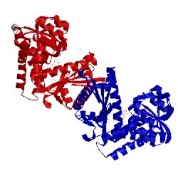 Image of CATH 1bxg