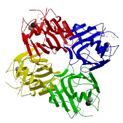 Image of CATH 1bxh