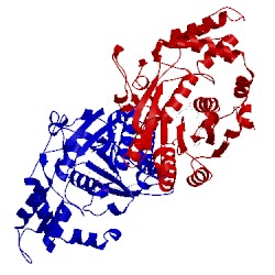 Image of CATH 1bxk