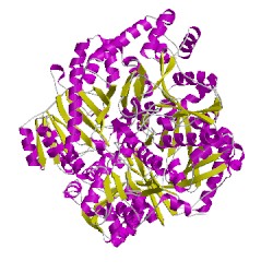 Image of CATH 1bxrA