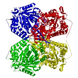 Image of CATH 1bxs