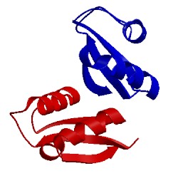 Image of CATH 1bxy