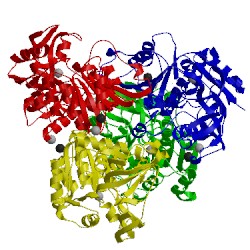 Image of CATH 1bxz