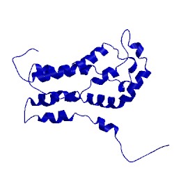 Image of CATH 1by1