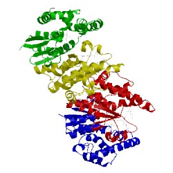 Image of CATH 1bye