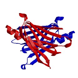 Image of CATH 1bzd