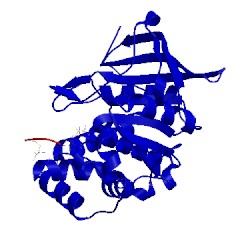 Image of CATH 1bzh