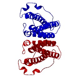 Image of CATH 1c02