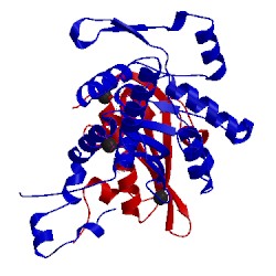 Image of CATH 1c0f