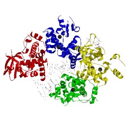 Image of CATH 1c0w