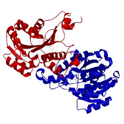 Image of CATH 1c14