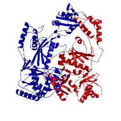 Image of CATH 1c1b