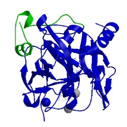 Image of CATH 1c1v