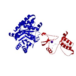 Image of CATH 1c29