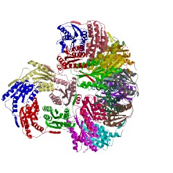 Image of CATH 1c2y