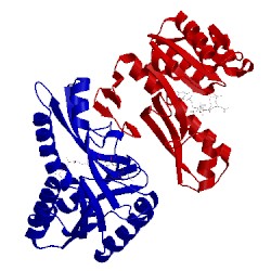 Image of CATH 1c3e