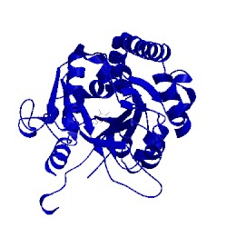 Image of CATH 1c3j