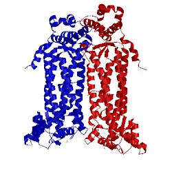 Image of CATH 1c3u