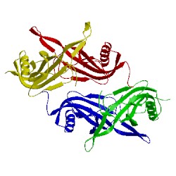 Image of CATH 1c4p