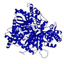 Image of CATH 1c50