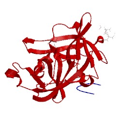 Image of CATH 1c5w