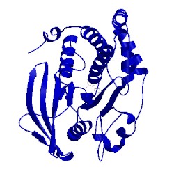 Image of CATH 1c85