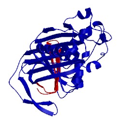 Image of CATH 1c8o