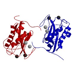 Image of CATH 1c8t