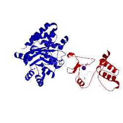 Image of CATH 1c8v