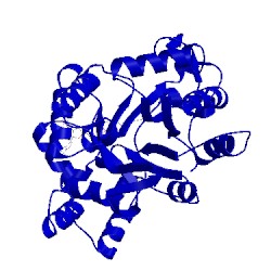 Image of CATH 1c9w