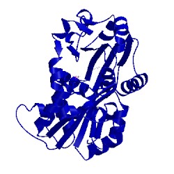 Image of CATH 1c9y