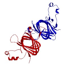 Image of CATH 1cav