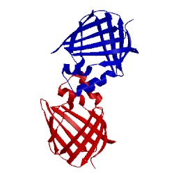 Image of CATH 1cbi