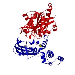 Image of CATH 1cc1