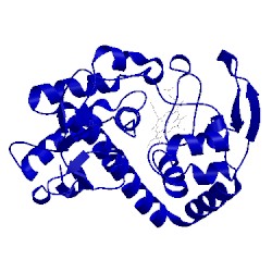 Image of CATH 1ccj