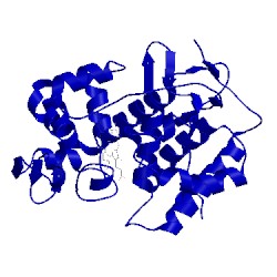 Image of CATH 1ccl