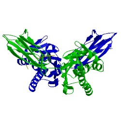 Image of CATH 1cd1