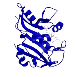 Image of CATH 1cd2