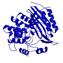 Image of CATH 1cef