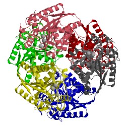 Image of CATH 1cev