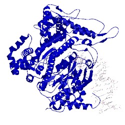 Image of CATH 1cez