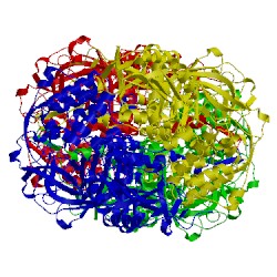 Image of CATH 1cf9